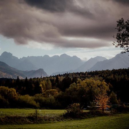 Domki w górach U Misia Jurgów Exterior foto